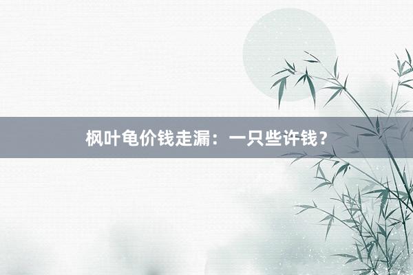 枫叶龟价钱走漏：一只些许钱？